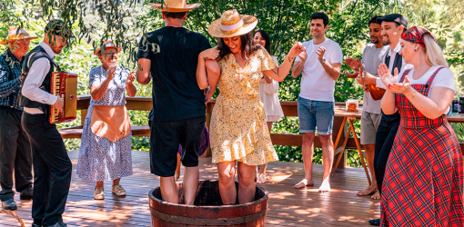 Abertura do Bento em Vindima acontece no dia 10 de janeiro de 2026