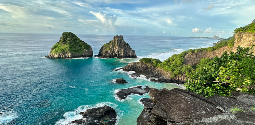 Tudo sobre Fernando de Noronha - PE